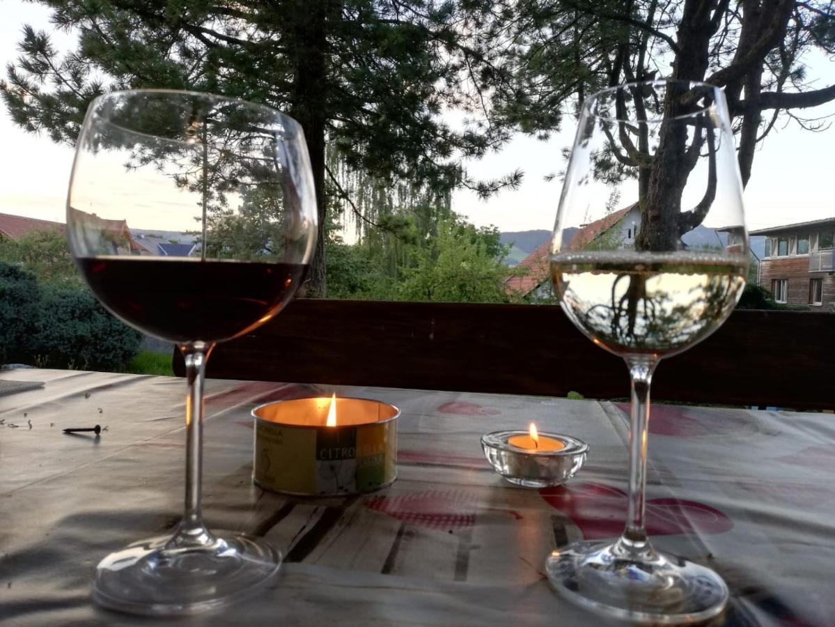 Feldkirchen in Kärnten Ferienwohnung Bliem المظهر الخارجي الصورة