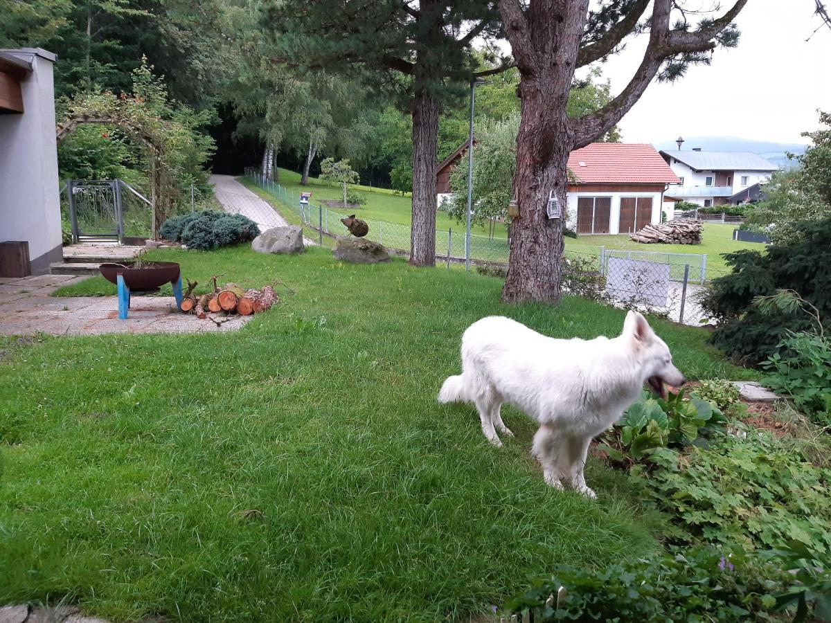 Feldkirchen in Kärnten Ferienwohnung Bliem المظهر الخارجي الصورة